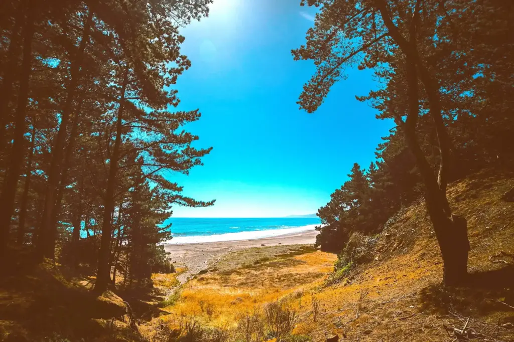 terreno_la_bella_mar_13